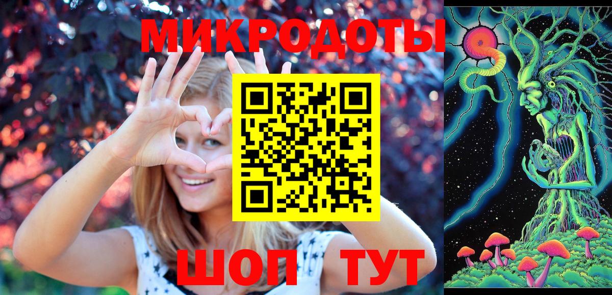 Псилоцибиновые грибы Psilocybine cubensis Михайловск