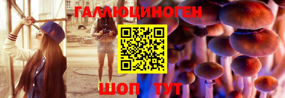 Псилоцибиновые грибы мицелий  Вход с VPN  хочу   Михайловск 
